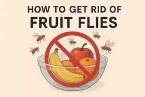 How to Get Rid of Fruit Flies