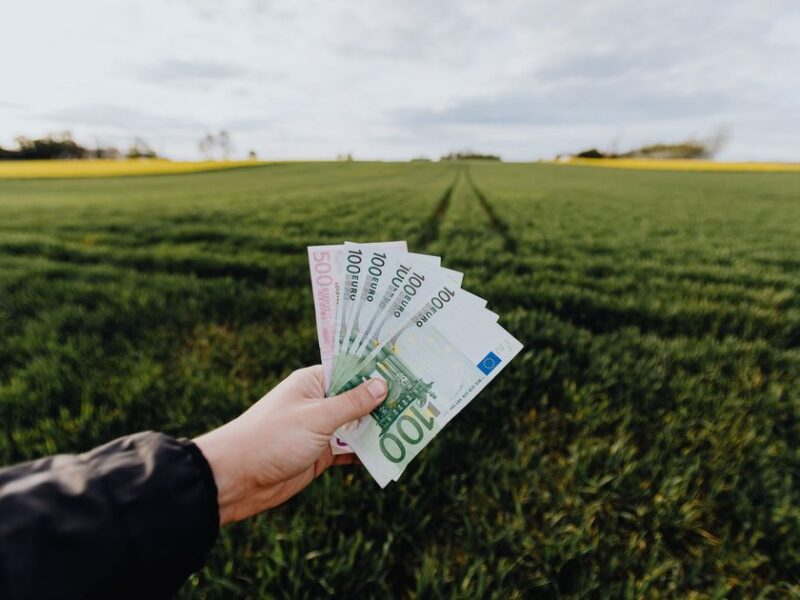 AgriFood Investment Signals: EIF Commits to Irish AgriTech, Aphea.Bio and Bayer Team Up on Crop Science
