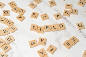 ASX Blue Chip Dividend Stocks 2026: Income Leaders