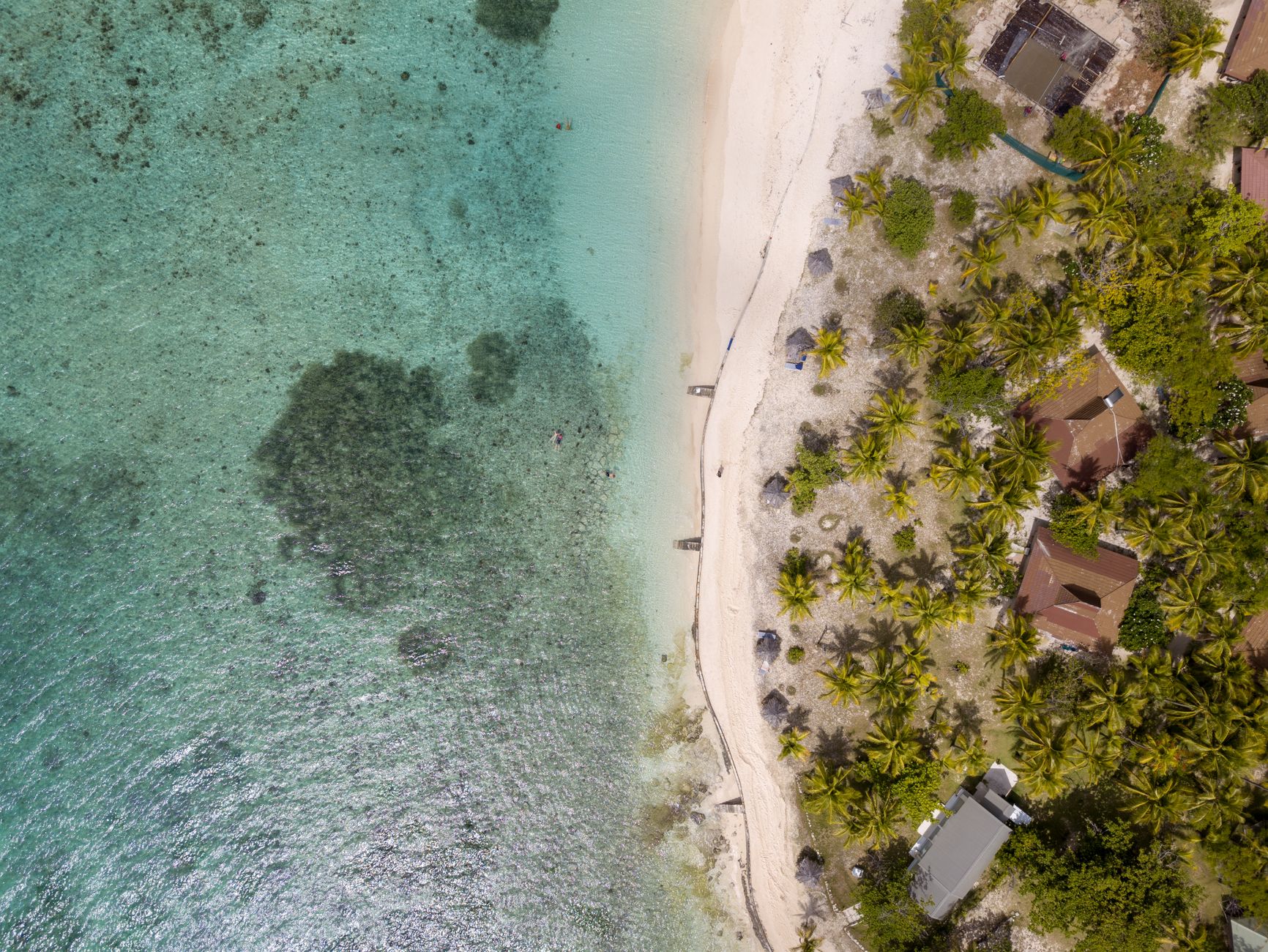 Leonardo DiCaprio Blackadore Caye Belize eco resort island