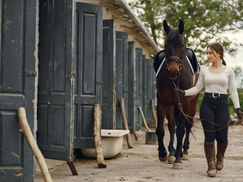 Boot Barn Holdings Stock: Earnings Beat and Revenue Growth in