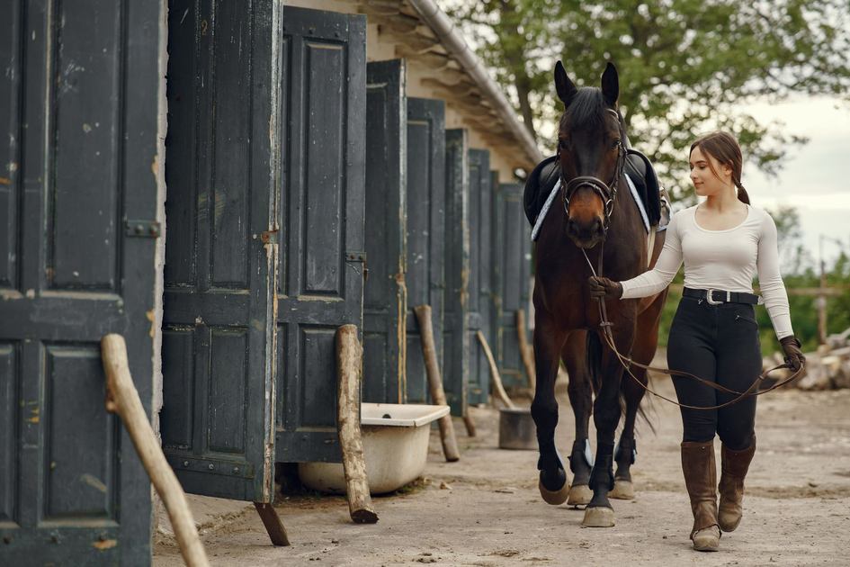 Boot Barn Holdings Stock: Earnings Beat and Revenue Growth in
