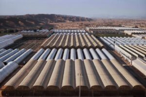 Bureaucracy Stifles Israel's AI Growth Despite Tech Strength