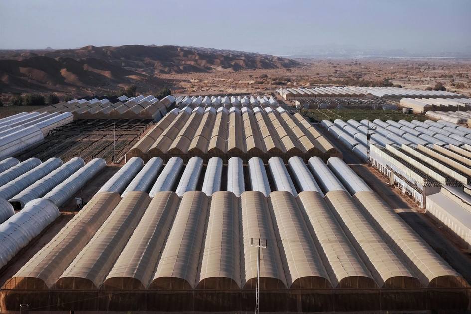 Bureaucracy Stifles Israel's AI Growth Despite Tech Strength