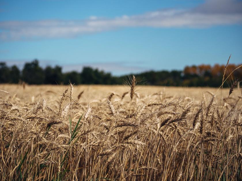 Canada Summer 2026 Seasonal Outlook Forecasts Above Normal Heat Across the Prairies