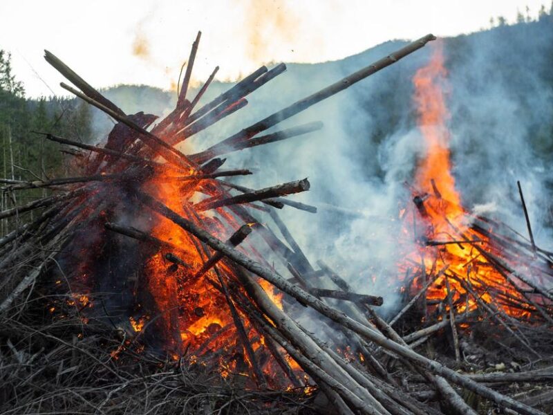 Canada Wildfires 2026: Above-Normal Season Sees 1,747 Fires With 44 Out of Control