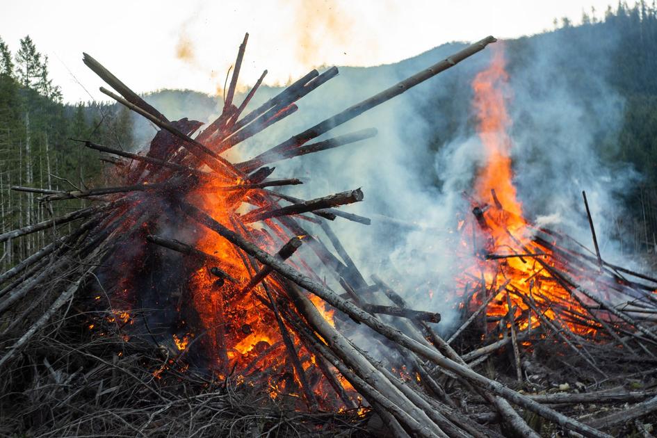 Canada Wildfires 2026: Above-Normal Season Sees 1,747 Fires With 44 Out of Control