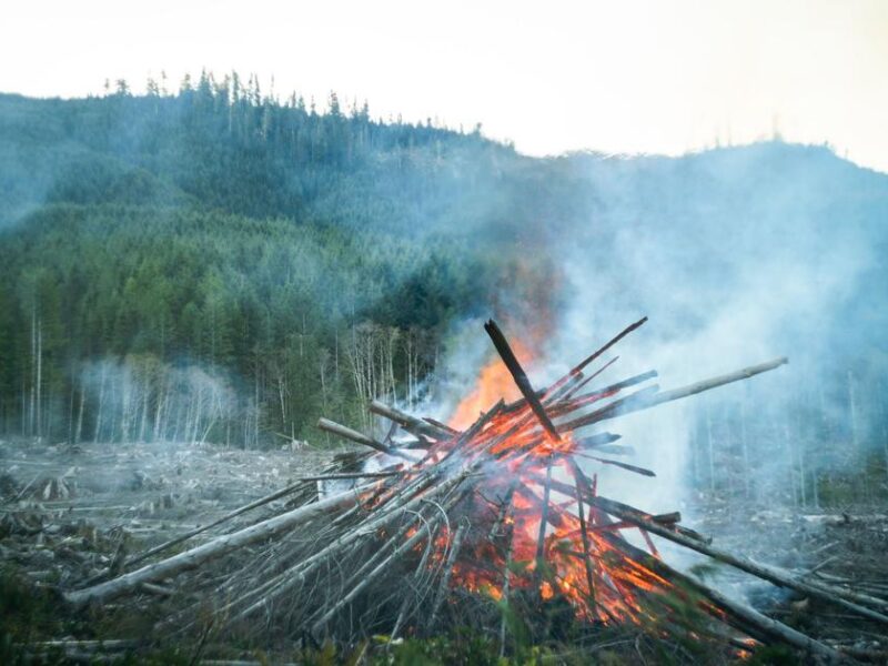 Canada Wildfires Burn Over 166,000 Hectares by June 10 as Above-Normal Season Begins