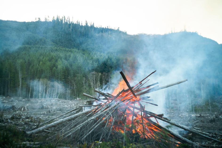 Canada Wildfires Burn Over 166,000 Hectares by June 10 as Above-Normal Season Begins