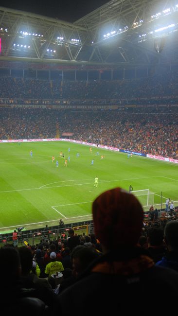 Canadian soccer team celebrating a goal in a packed FIFA World Cup stadium