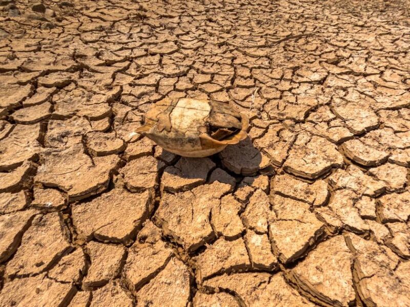European Heatwaves Intensify in June 2026 Driven by Record Mediterranean Temperatures