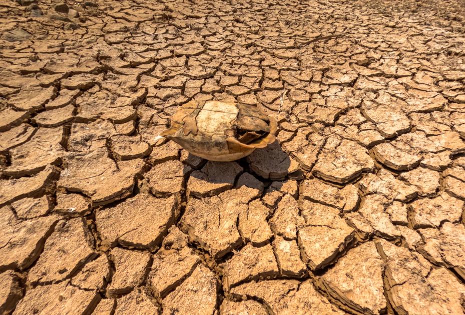 European Heatwaves Intensify in June 2026 Driven by Record Mediterranean Temperatures