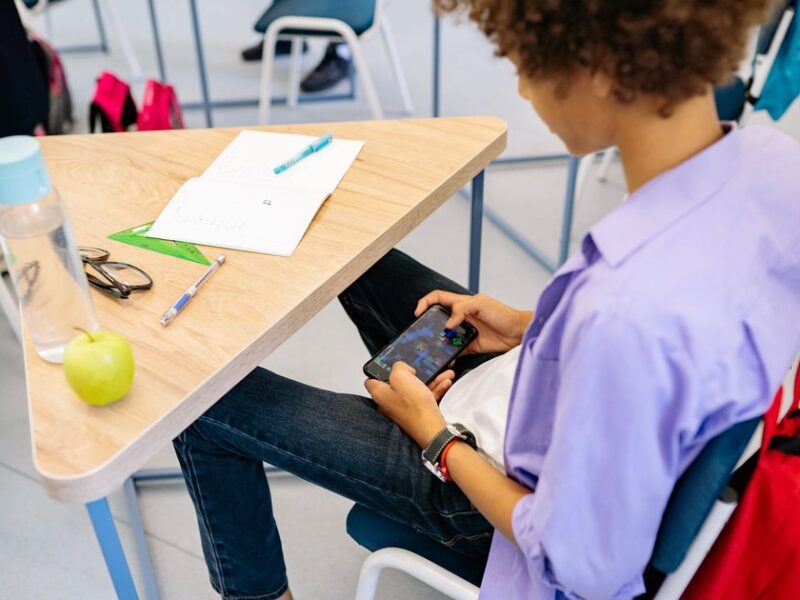 How to Play Roblox on a School Chromebook