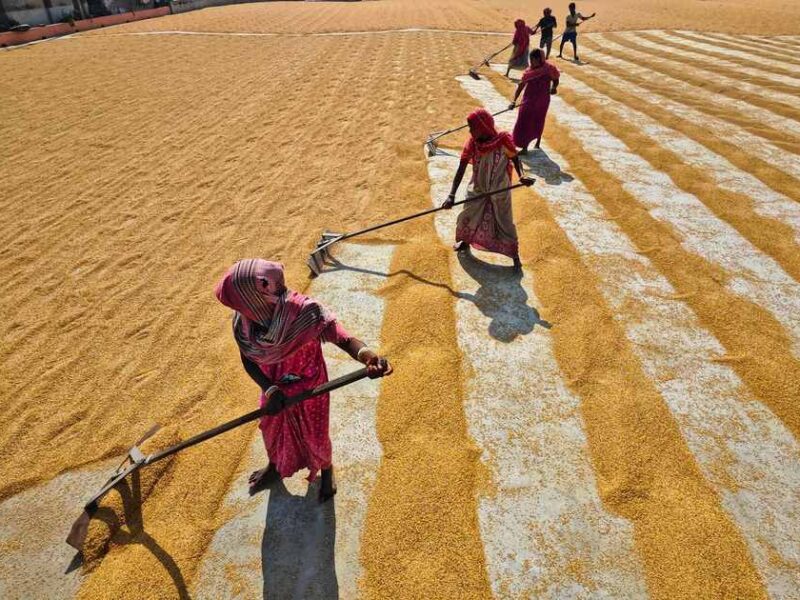 India's Working Hours Debate: Productivity vs. Regulation in 2026