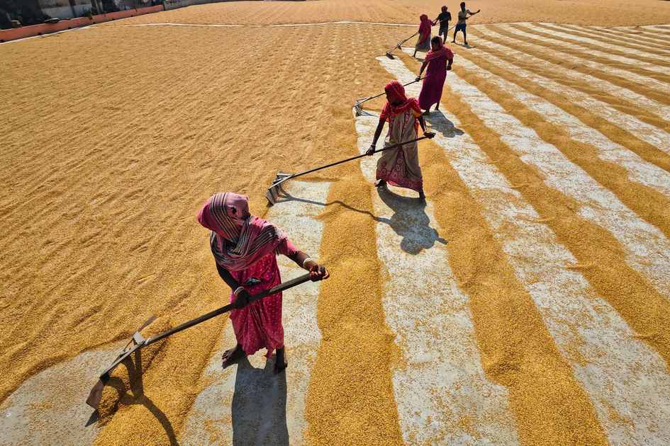 India's Working Hours Debate: Productivity vs. Regulation in 2026