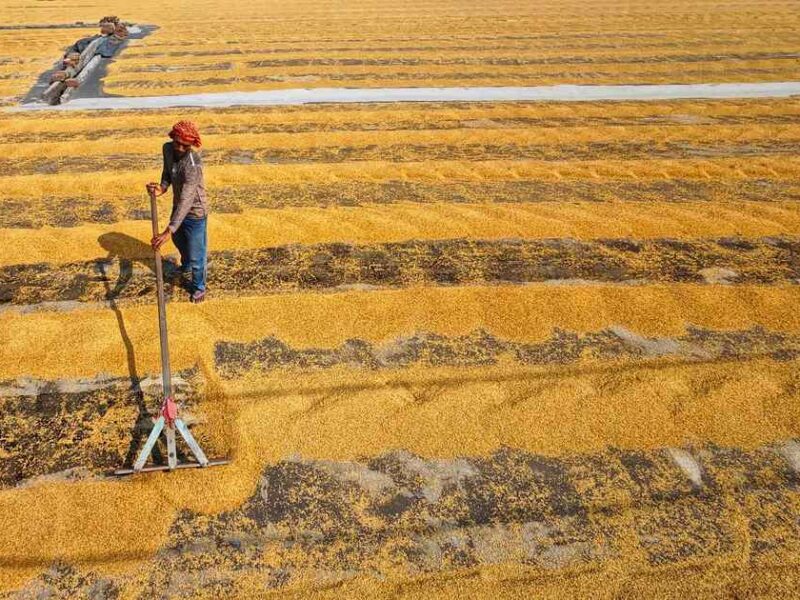 India Work Hours Debate Misses Productivity Problem