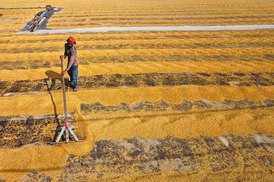 India Work Hours Debate Misses Productivity Problem