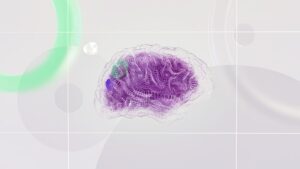 memory-brain-technology-digital-1