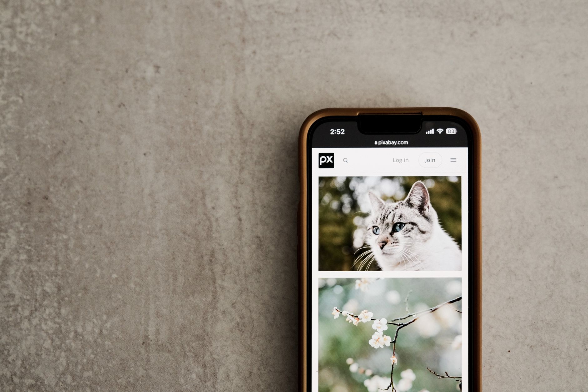 Revamped Search and Photos