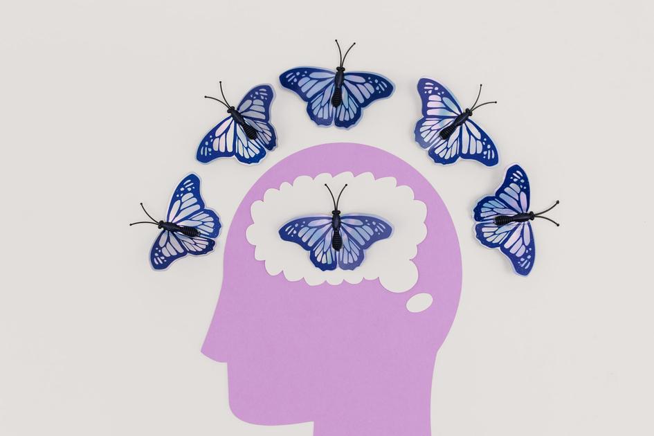 Study: Brain Health Can Improve at Any Age, Cognitive Decline Not Inevitable