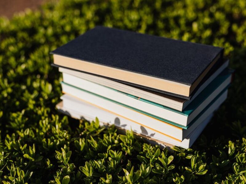 Summer Reading List 2026: 15 Books Critics Are Calling the Must-Reads of the Season