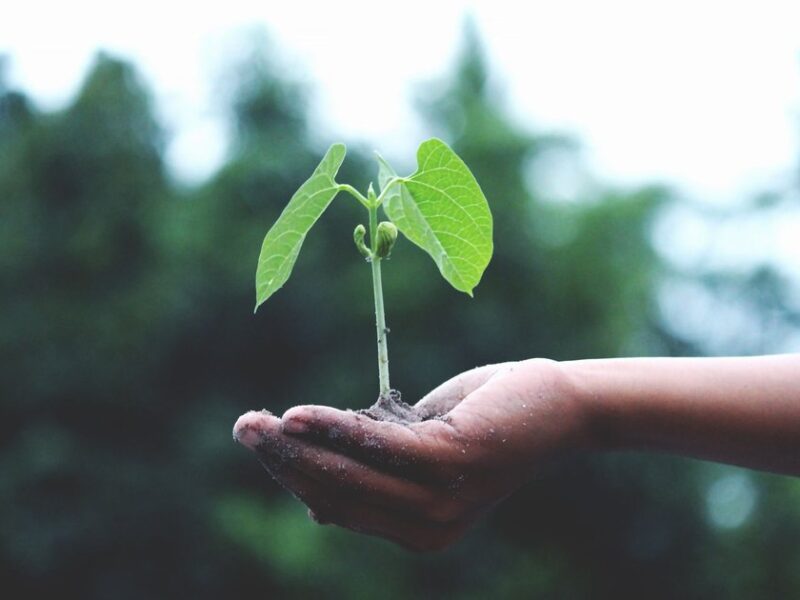 Upnourish Grows 5x in 18 Months on Functional Nutrition Demand