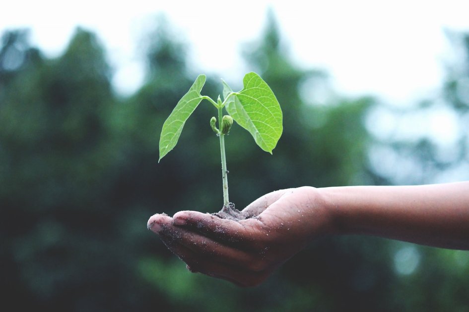 Upnourish Grows 5x in 18 Months on Functional Nutrition Demand