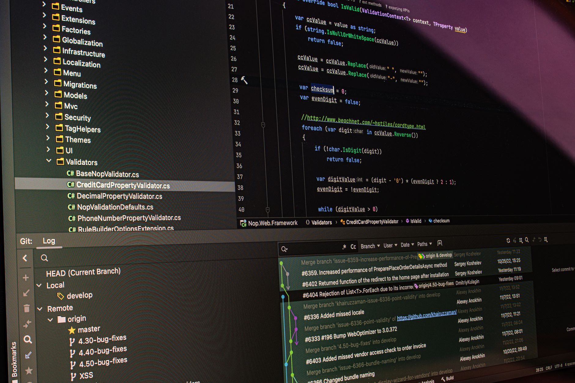 Developer workspace showing version control and repository work