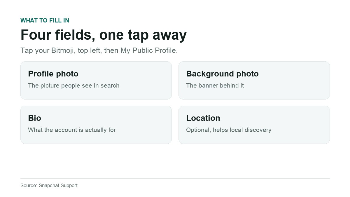 The four fields on a Snapchat Public Profile